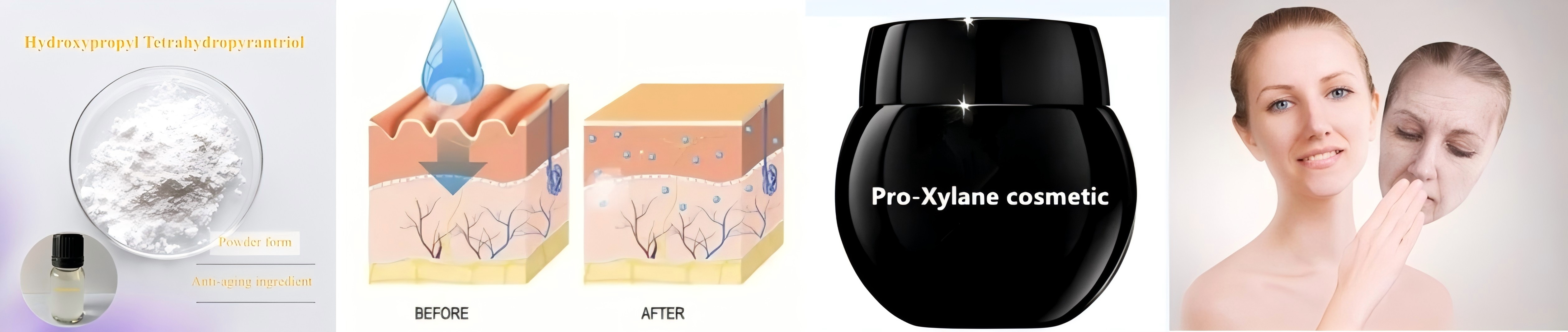 pro-xylane-1.jpg