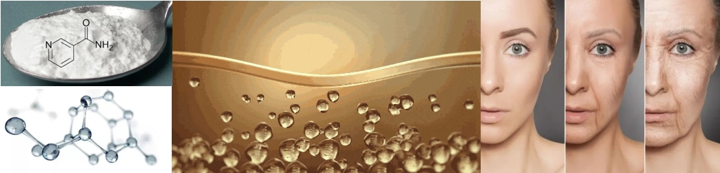 nicotinamide vitamin pp.jpg