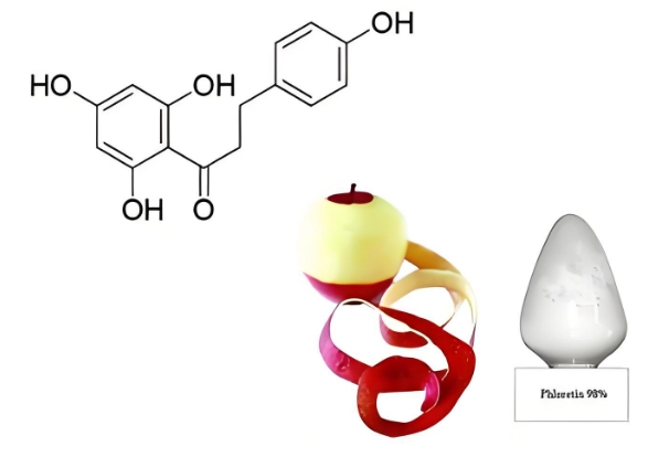 Phoretin apple peel sources8x