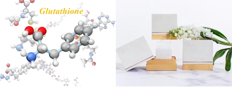 glutathione GSH antioxidant