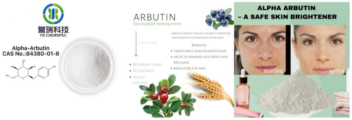 alpha arbutin 2.png
