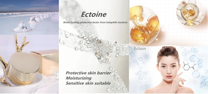 ectoine china supplierc7c