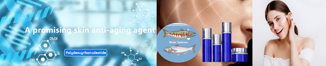 anti-aging sodium DNA