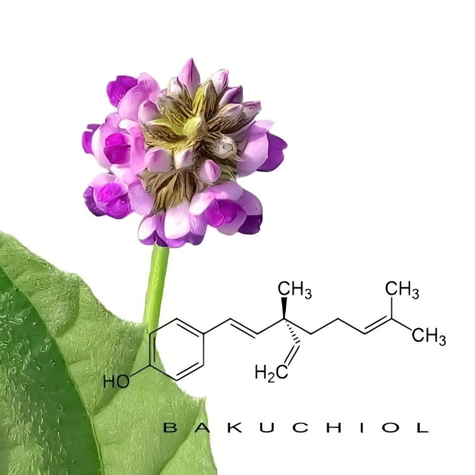Bakuchiol-1.jpg