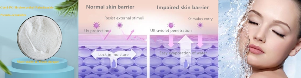 cetyl-pg hydroxyethyl palmitamide skin moisture