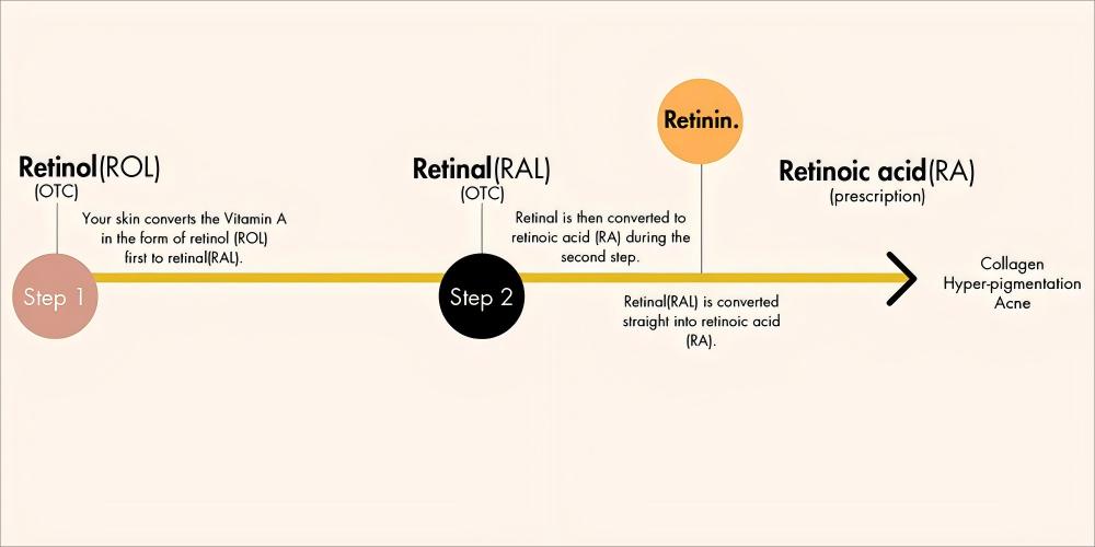 Retinaldehyde.jpg