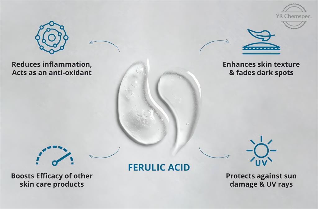 Ferulic Acid-2(1).jpg