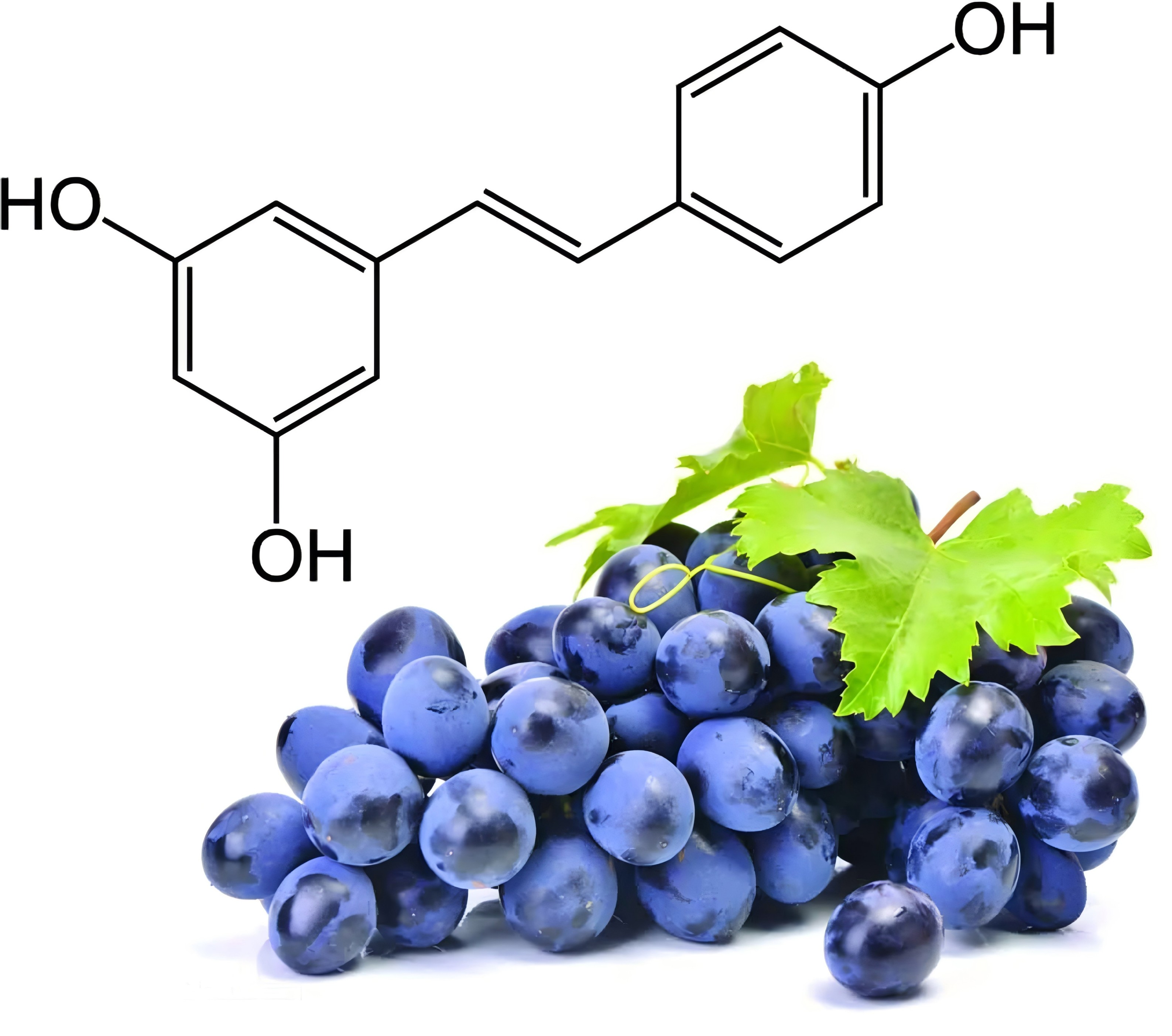 Resveratrol-1(1).jpg