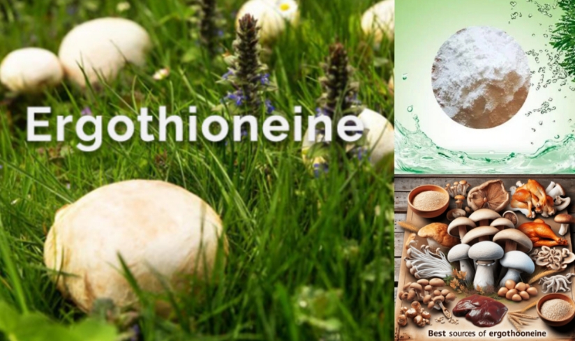 egrothioneine11111111.jpg