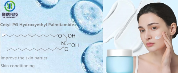 cetyl-pg hydroxyethyl palmitamide the skin barrier
