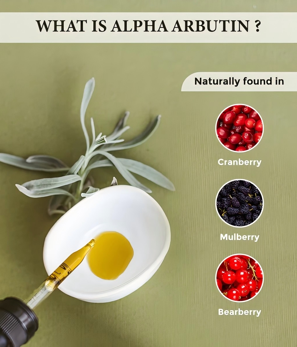 Alpha Arbutin-1.jpg
