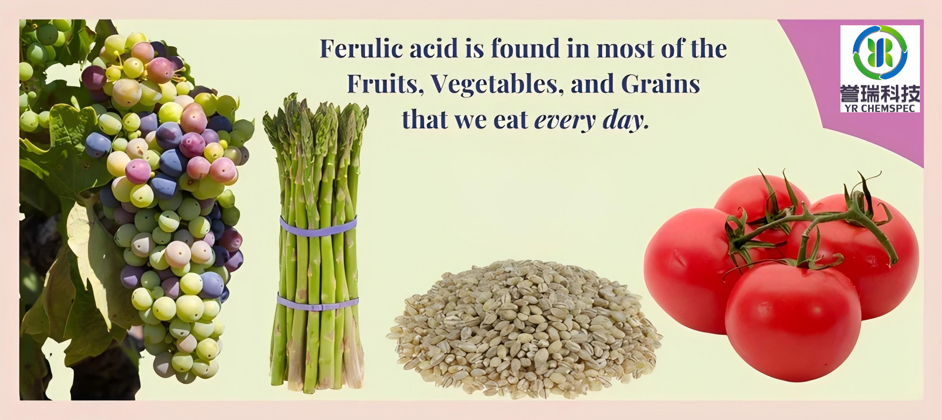 Ferulic Acid: The Antioxidant-Boosting Skin Care Ingredient