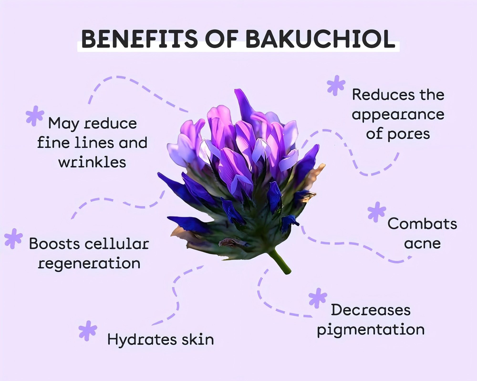 Bakuchiol-2.jpg