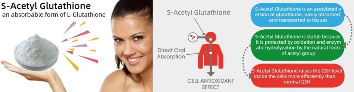 s-acetayl glutathione antioxidant.png