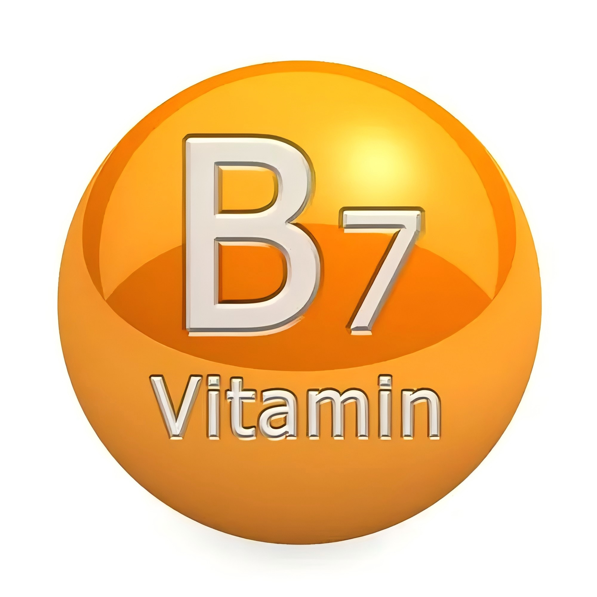 D-Biotin-1.jpg