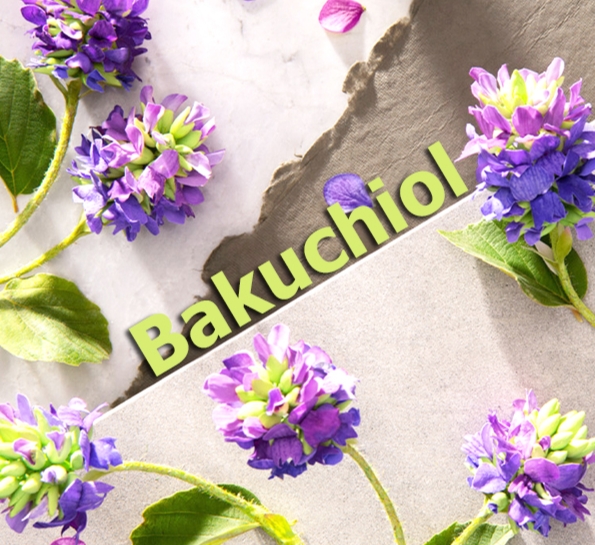 Revolutionizing Skincare: YR Chemspec Launches Bakuchiol- for Natural Anti-Aging