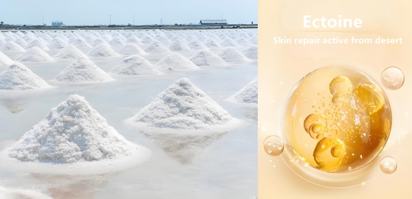 ectoin skin moisture21k