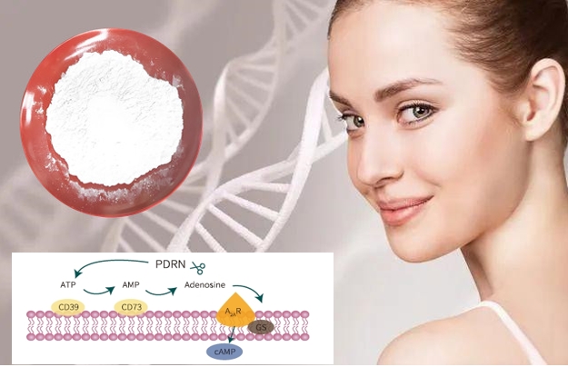 PDRN Sodium DNA