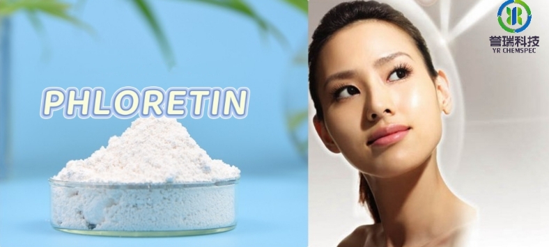 phloretin 111.png