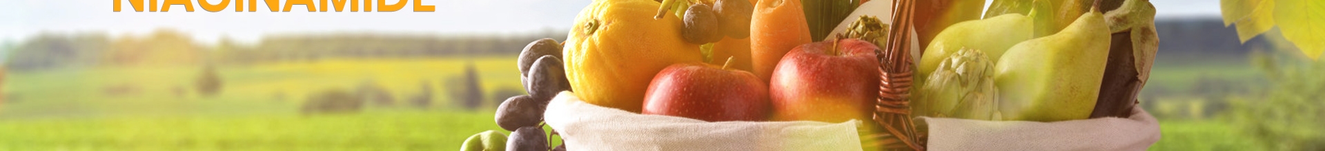 Vitamin E Alpha Tocopherol Supplier
