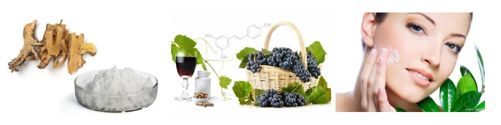 skin whitening resveratrolvsc